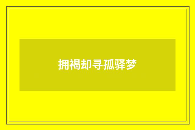 拥褐却寻孤驿梦