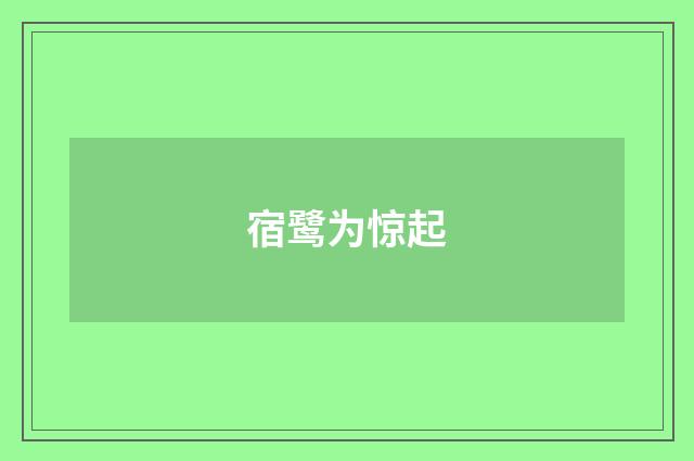 宿鹭为惊起
