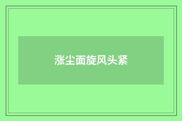 涨尘面旋风头紧