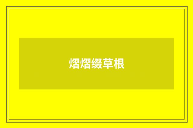 熠熠缀草根