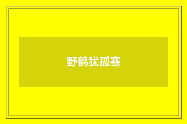 野鹤犹孤骞