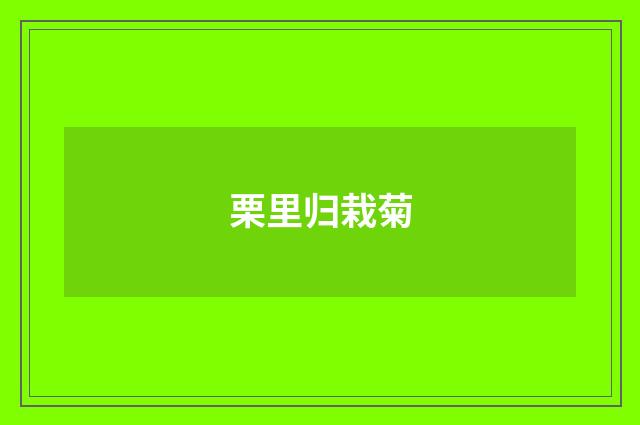 栗里归栽菊