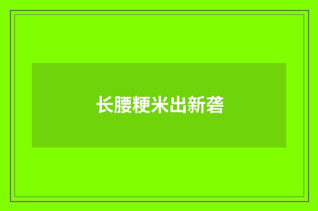 长腰粳米出新砻