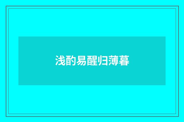 浅酌易醒归薄暮