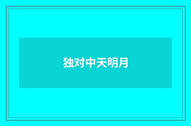 独对中天明月