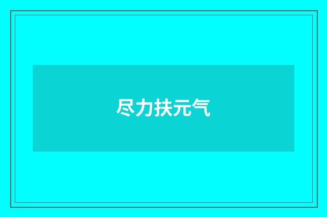 尽力扶元气