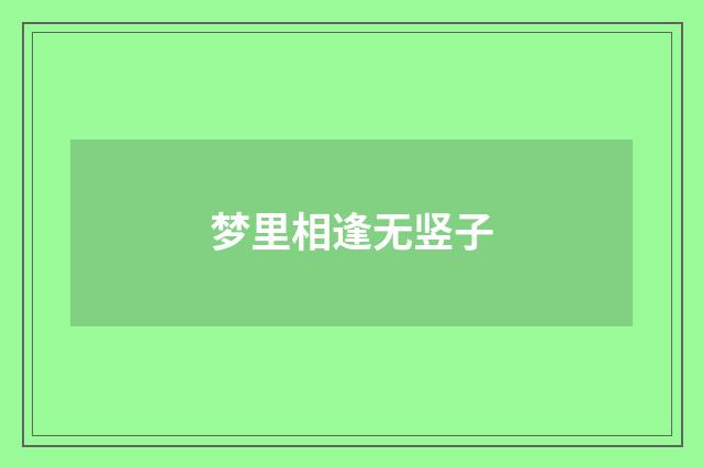 梦里相逢无竖子
