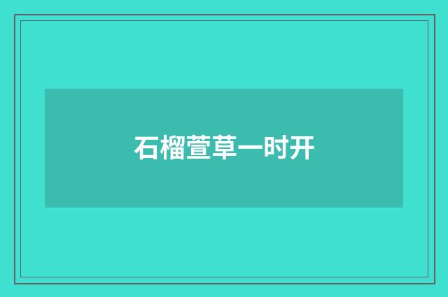 石榴萱草一时开