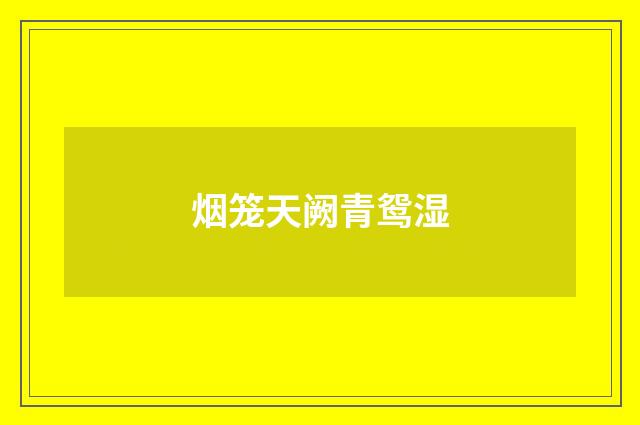 烟笼天阙青鸳湿