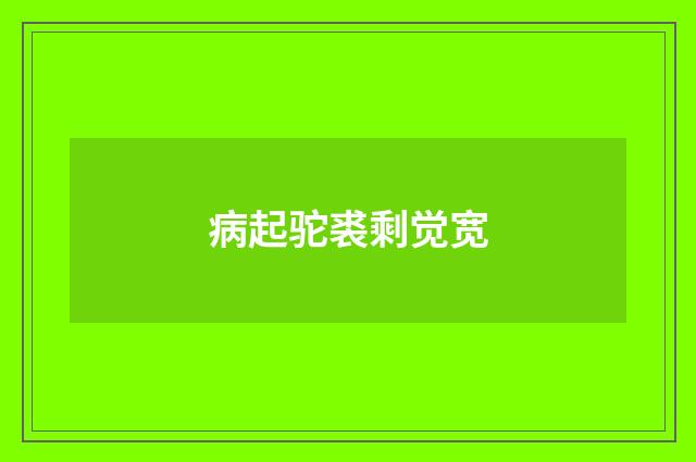 病起驼裘剩觉宽