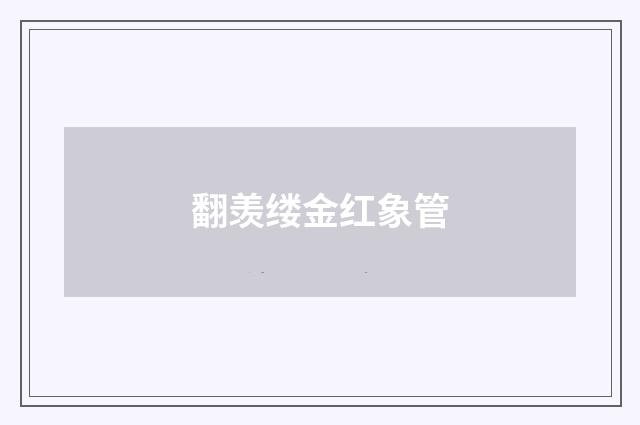 翻羡缕金红象管
