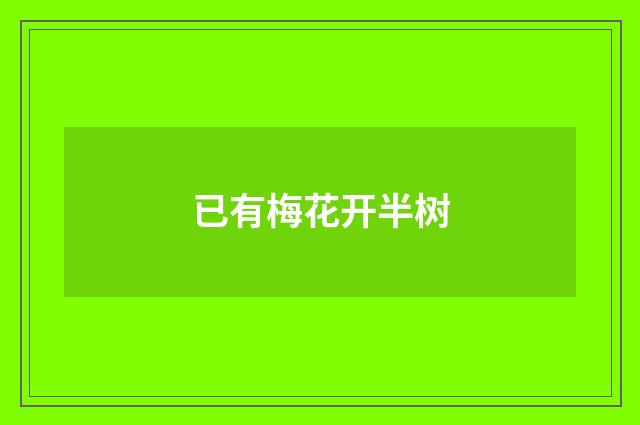 已有梅花开半树