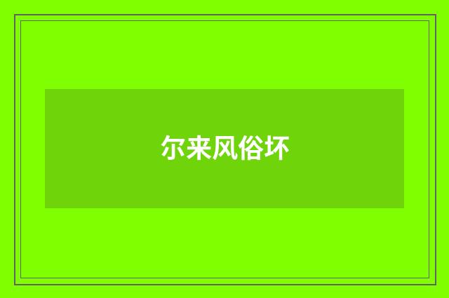 尔来风俗坏