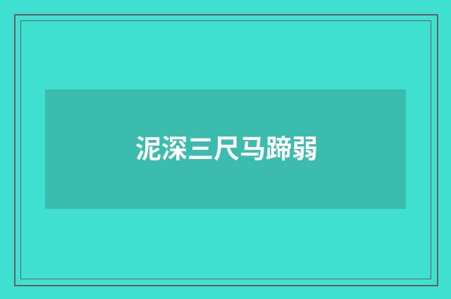 泥深三尺马蹄弱