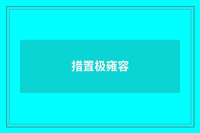 措置极雍容