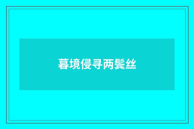 暮境侵寻两鬓丝