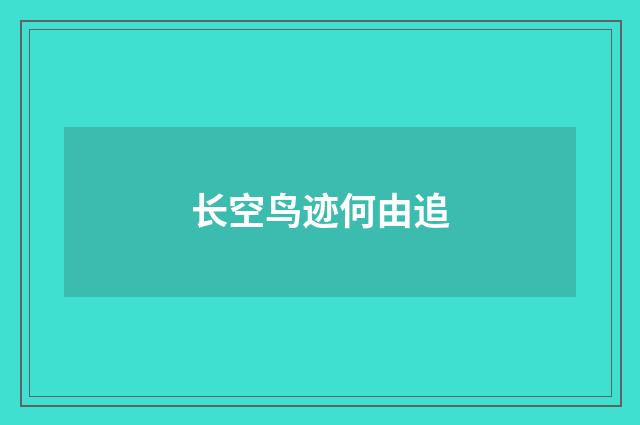 长空鸟迹何由追