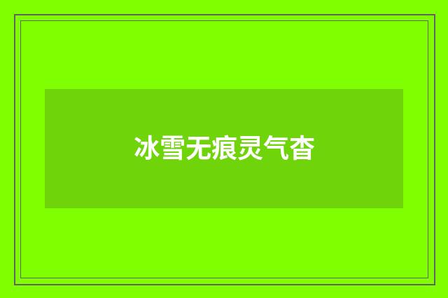 冰雪无痕灵气杳
