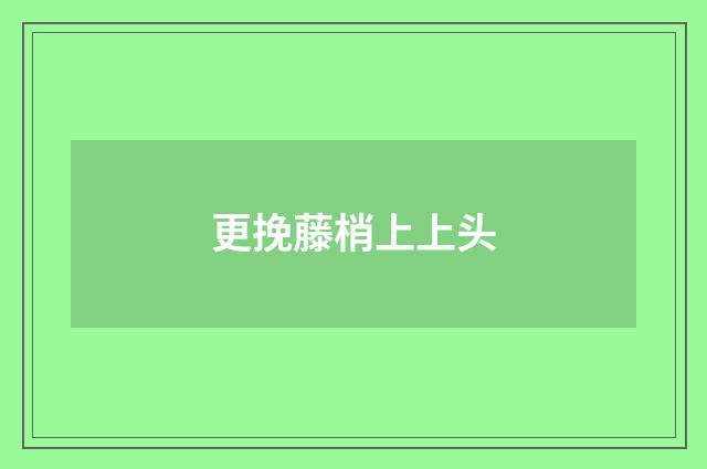 更挽藤梢上上头