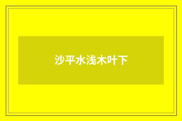 沙平水浅木叶下