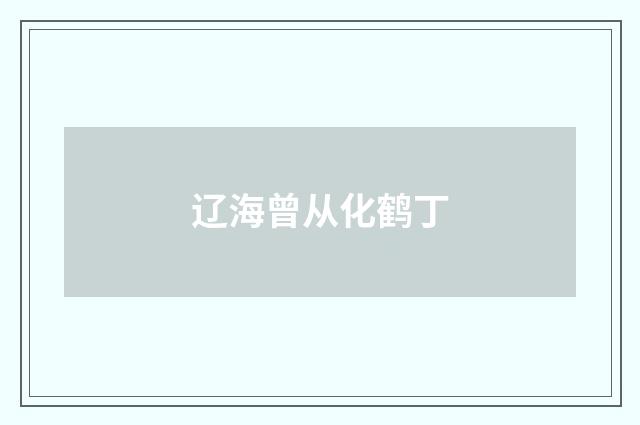 辽海曾从化鹤丁