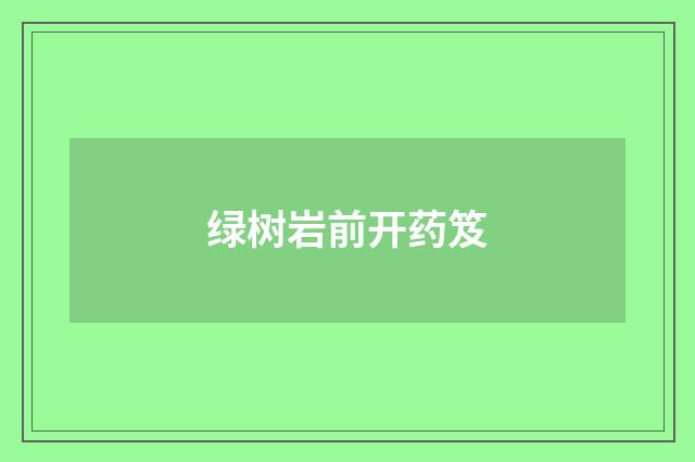 绿树岩前开药笈