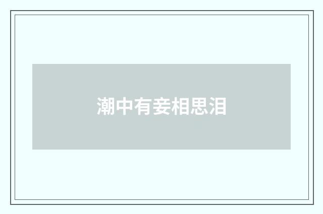 潮中有妾相思泪
