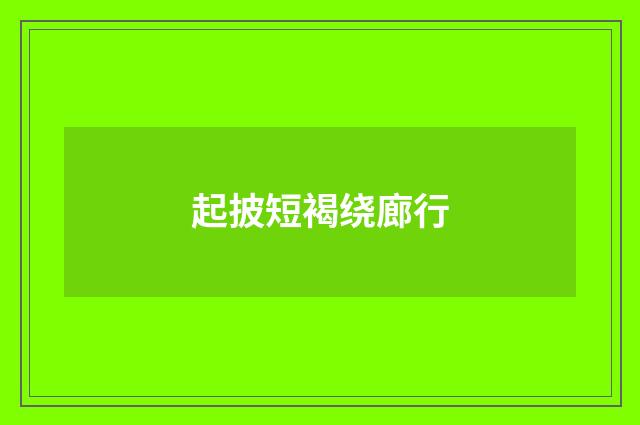 起披短褐绕廊行