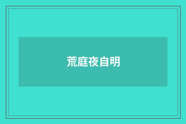 荒庭夜自明
