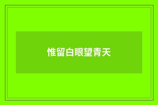 惟留白眼望青天