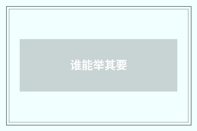 谁能举其要