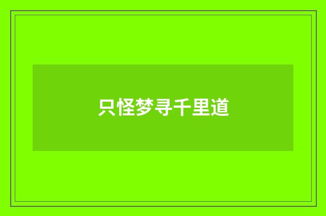 只怪梦寻千里道