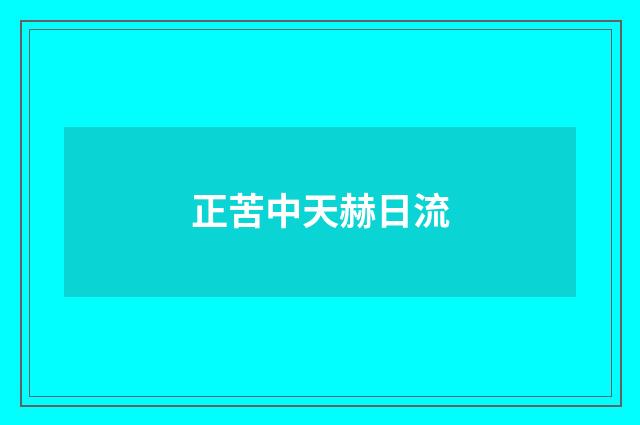 正苦中天赫日流