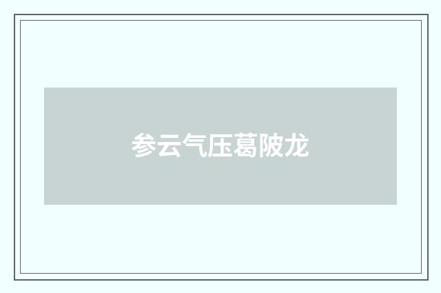 参云气压葛陂龙
