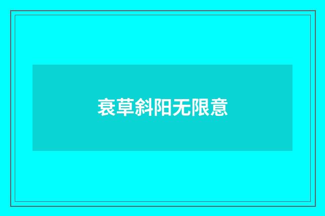 衰草斜阳无限意
