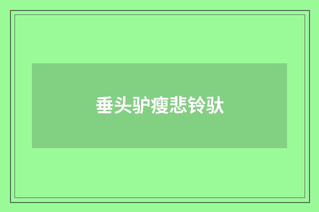 垂头驴瘦悲铃驮