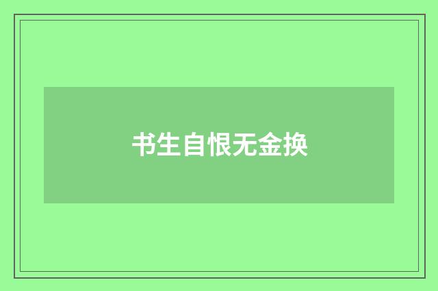 书生自恨无金换