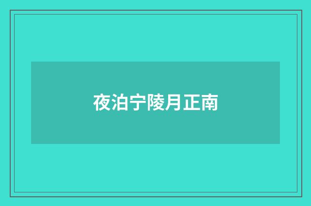 夜泊宁陵月正南