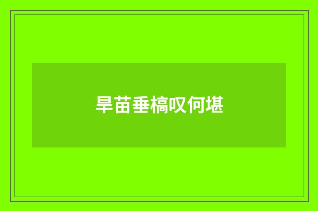 旱苗垂槁叹何堪