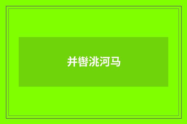 并辔洮河马