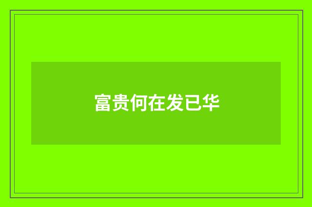 富贵何在发已华
