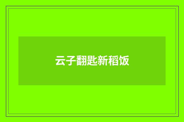 云子翻匙新稻饭