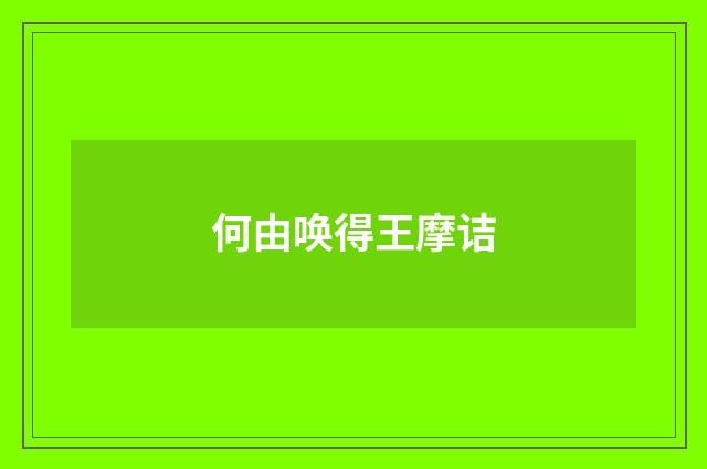 何由唤得王摩诘