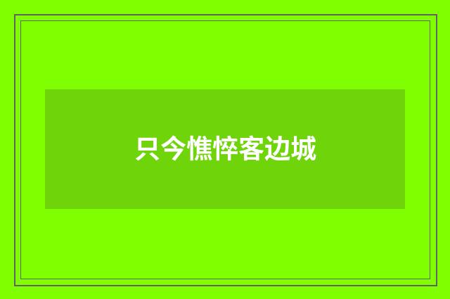 只今憔悴客边城
