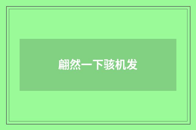 翩然一下骇机发