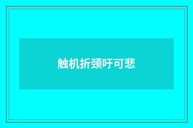 触机折颈吁可悲