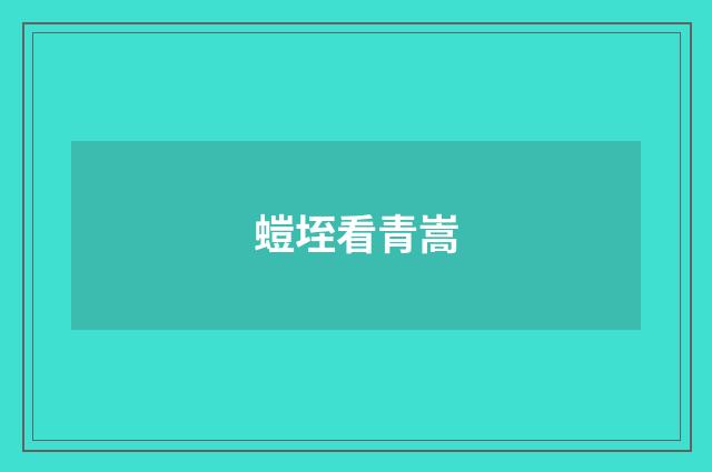 螘垤看青嵩