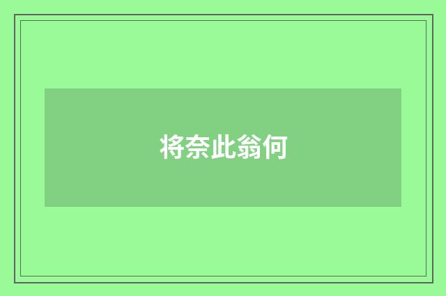 将奈此翁何
