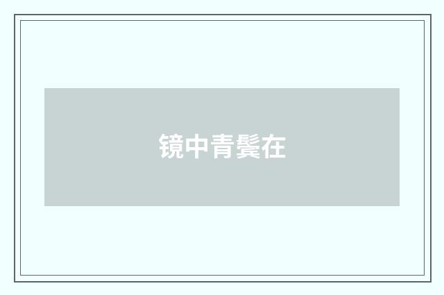 镜中青鬓在