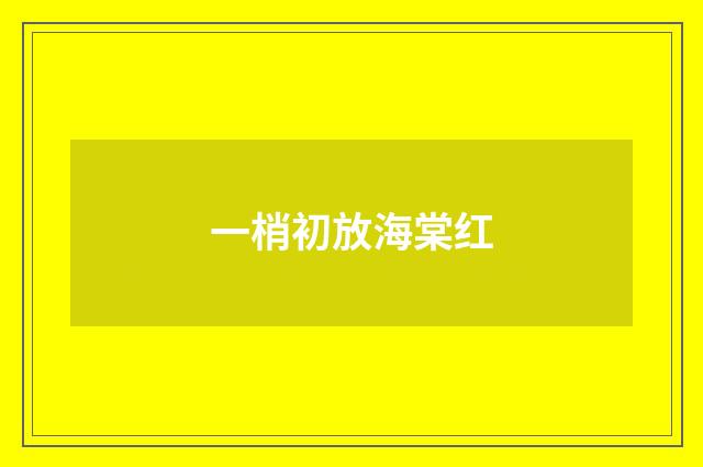 一梢初放海棠红